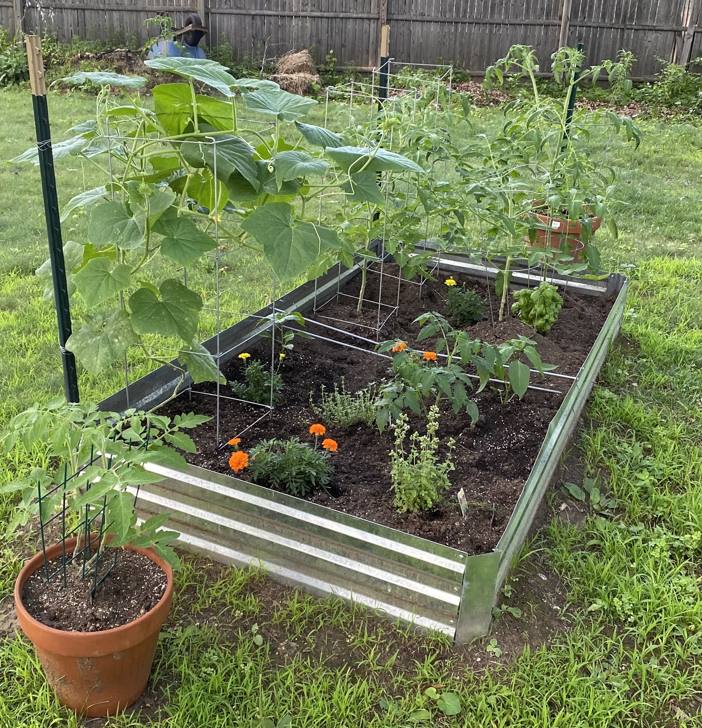 Home garden